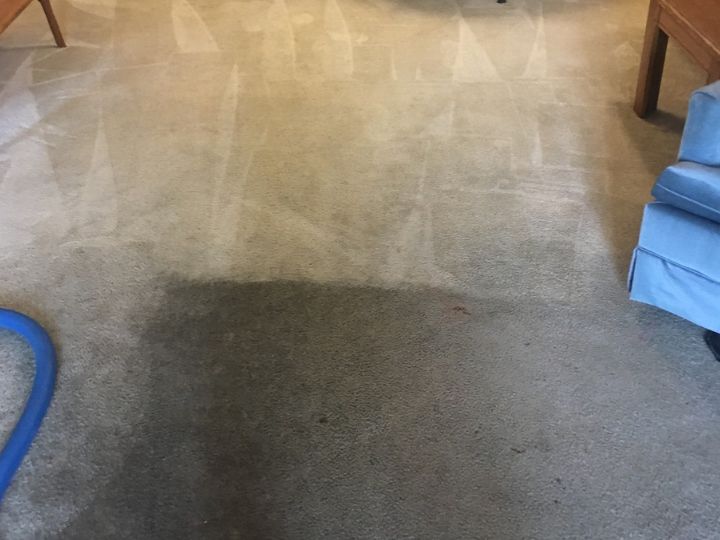 Living room carpet partly cleaned. The cleaned portion is bright light beige, the dirty portion appears to be dark grey due to embedded dirt.